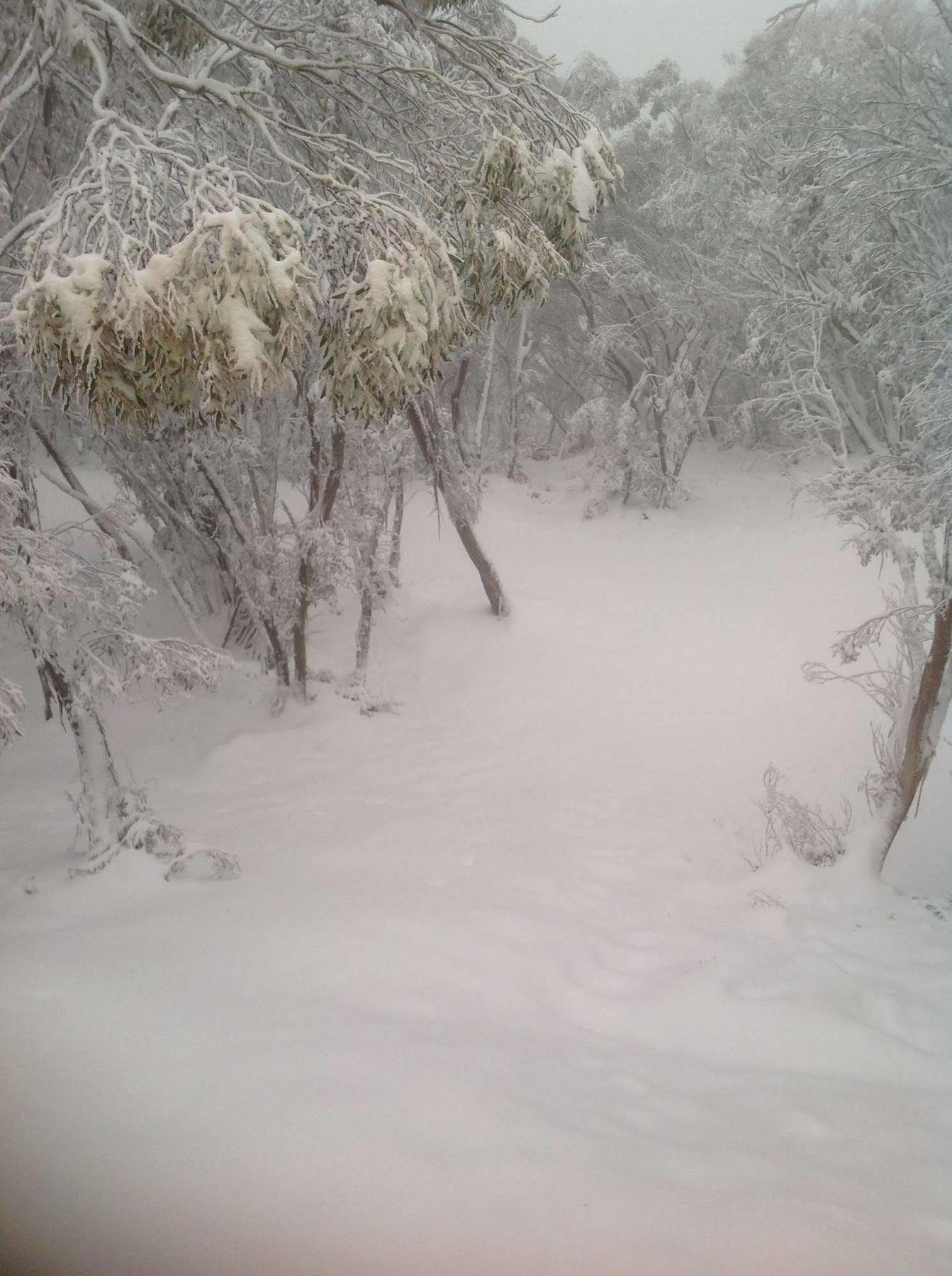 Terama Ski Lodge Mount Buller Exterior photo